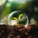 System Zarządzania Środowiskowego. Wymagania normy ISO 14001:2026