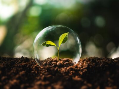 ISO 14001 2026, ISO 14001 2026 szkolenie, szkolenie ISO 14001 2026, ISO 14001 2026 wymagania, wymagania ISO 14001 2026, nowe ISO 14001 2026, nowa norma ISO 14001 2026, norma ISO 14001 2026, ISO 14001 2026 zmiany, zmiany ISO 14001 2026, ISO 14001 2026 aktualizacja, aktualizacja ISO 14001 2026, ISO 14001 2026 wdrożenie, wdrożenie ISO 14001 2026, ISO 14001 2026 certyfikacja, certyfikacja ISO 14001 2026, ISO 14001 2026 audyt, audyt ISO 14001 2026, ISO 14001 2026 auditor wewnętrzny, auditor wewnętrzny ISO 14001 2026, ISO 14001 2026 system zarządzania środowiskowego, system zarządzania środowiskowego ISO 14001 2026, ISO 14001 2026 EMS, EMS ISO 14001 2026, ISO 14001 2026 SZŚ, SZŚ ISO 14001 2026, ISO 14001 2026 ochrona środowiska, ISO 14001 2026 zarządzanie środowiskowe, ISO 14001 2026 aspekty środowiskowe, aspekty środowiskowe ISO 14001 2026, ISO 14001 2026 ryzyka i szanse, ryzyka i szanse ISO 14001 2026, ISO 14001 2026 zobowiązania zgodności, zobowiązania zgodności ISO 14001 2026, ISO 14001 2026 kontekst organizacji, kontekst organizacji ISO 14001 2026, ISO 14001 2026 strony zainteresowane, strony zainteresowane ISO 14001 2026, ISO 14001 2026 cykl życia, cykl życia ISO 14001 2026, ISO 14001 2026 łańcuch wartości, łańcuch wartości ISO 14001 2026, ISO 14001 2026 dostawcy, ISO 14001 2026 podwykonawcy, ISO 14001 2026 dokumentacja, dokumentacja ISO 14001 2026, ISO 14001 2026 procedury, procedury ISO 14001 2026, ISO 14001 2026 polityka środowiskowa, polityka środowiskowa ISO 14001 2026, ISO 14001 2026 cele środowiskowe, cele środowiskowe ISO 14001 2026, ISO 14001 2026 monitoring środowiskowy, ISO 14001 2026 pomiary środowiskowe, ISO 14001 2026 przegląd zarządzania, przegląd zarządzania ISO 14001 2026, ISO 14001 2026 działania korygujące, działania korygujące ISO 14001 2026, ISO 14001 2026 doskonalenie systemu, ISO 14001 2026 zmiany klimatu, zmiany klimatu ISO 14001 2026, ISO 14001 2026 bioróżnorodność, bioróżnorodność ISO 14001 2026, ISO 14001 2026 zasoby naturalne, zasoby naturalne ISO 14001 2026, ISO 14001 2026 ESG, ESG ISO 14001 2026, ISO 14001 2026 zrównoważony rozwój, zrównoważony rozwój ISO 14001 2026, ISO 14001 2026 analiza luk, analiza luk ISO 14001 2026, ISO 14001 2026 gap analysis, ISO 14001 2026 zgodność środowiskowa, zgodność środowiskowa ISO 14001 2026, ISO 14001 2026 szkolenie dla firm, ISO 14001 2026 szkolenie dla pełnomocników, ISO 14001 2026 szkolenie dla auditorów, ISO 14001 2026 szkolenie dla menedżerów, ISO 14001 2026 szkolenie dla specjalistów ochrony środowiska, ISO 14001 2026, ISO 14001 2026 training, training ISO 14001 2026, ISO 14001 2026 requirements, requirements ISO 14001 2026, new ISO 14001 2026, ISO 14001 2026 new version, ISO 14001 2026 standard, ISO 14001 2026 changes, changes ISO 14001 2026, ISO 14001 2026 update, update ISO 14001 2026, ISO 14001 2026 transition, transition ISO 14001 2026, ISO 14001 2026 implementation, implementation ISO 14001 2026, ISO 14001 2026 certification, certification ISO 14001 2026, ISO 14001 2026 audit, audit ISO 14001 2026, ISO 14001 2026 internal auditor, internal auditor ISO 14001 2026, ISO 14001 2026 environmental management system, environmental management system ISO 14001 2026, ISO 14001 2026 EMS, EMS ISO 14001 2026, ISO 14001 2026 environmental aspects, environmental aspects ISO 14001 2026, ISO 14001 2026 risks and opportunities, risks and opportunities ISO 14001 2026, ISO 14001 2026 compliance obligations, compliance obligations ISO 14001 2026, ISO 14001 2026 organizational context, organizational context ISO 14001 2026, ISO 14001 2026 interested parties, interested parties ISO 14001 2026, ISO 14001 2026 life cycle, life cycle ISO 14001 2026, ISO 14001 2026 value chain, value chain ISO 14001 2026, ISO 14001 2026 supplier control, supplier control ISO 14001 2026, ISO 14001 2026 documentation, documentation ISO 14001 2026, ISO 14001 2026 environmental policy, environmental policy ISO 14001 2026, ISO 14001 2026 environmental objectives, environmental objectives ISO 14001 2026, ISO 14001 2026 management review, management review ISO 14001 2026, ISO 14001 2026 climate change, climate change ISO 14001 2026, ISO 14001 2026 biodiversity, biodiversity ISO 14001 2026, ISO 14001 2026 sustainability, sustainability ISO 14001 2026, ISO 14001 2026 ESG, ESG ISO 14001 2026, ISO 14001 2026 gap analysis, gap analysis ISO 14001 2026, ISO 14001 2026, ISO 14001 2026 školení, školení ISO 14001 2026, ISO 14001 2026 požadavky, požadavky ISO 14001 2026, nové ISO 14001 2026, nová norma ISO 14001 2026, norma ISO 14001 2026, ISO 14001 2026 změny, změny ISO 14001 2026, ISO 14001 2026 aktualizace, aktualizace ISO 14001 2026, ISO 14001 2026 přechod, přechod ISO 14001 2026, ISO 14001 2026 zavedení, zavedení ISO 14001 2026, ISO 14001 2026 certifikace, certifikace ISO 14001 2026, ISO 14001 2026 audit, audit ISO 14001 2026, ISO 14001 2026 interní auditor, interní auditor ISO 14001 2026, ISO 14001 2026 systém environmentálního managementu, systém environmentálního managementu ISO 14001 2026, ISO 14001 2026 EMS, EMS ISO 14001 2026, ISO 14001 2026 environmentální aspekty, environmentální aspekty ISO 14001 2026, ISO 14001 2026 rizika a příležitosti, rizika a příležitosti ISO 14001 2026, ISO 14001 2026 závazky souladu, závazky souladu ISO 14001 2026, ISO 14001 2026 kontext organizace, kontext organizace ISO 14001 2026, ISO 14001 2026 zainteresované strany, zainteresované strany ISO 14001 2026, ISO 14001 2026 životní cyklus, životní cyklus ISO 14001 2026, ISO 14001 2026 hodnotový řetězec, hodnotový řetězec ISO 14001 2026, ISO 14001 2026 řízení dodavatelů, řízení dodavatelů ISO 14001 2026, ISO 14001 2026 dokumentace, dokumentace ISO 14001 2026, ISO 14001 2026 environmentální politika, environmentální politika ISO 14001 2026, ISO 14001 2026 environmentální cíle, environmentální cíle ISO 14001 2026, ISO 14001 2026 přezkoumání vedením, přezkoumání vedením ISO 14001 2026, ISO 14001 2026 změna klimatu, změna klimatu ISO 14001 2026, ISO 14001 2026 biodiverzita, biodiverzita ISO 14001 2026, ISO 14001 2026 udržitelný rozvoj, udržitelný rozvoj ISO 14001 2026, ISO 14001 2026 ESG, ESG ISO 14001 2026, ISO 14001 2026 analýza rozdílů, analýza rozdílů ISO 14001 2026, ISO 14001 2026 szkolenie dla firm, szkolenie ISO 14001 2026 dla przedsiębiorstw, ISO 14001 2026 wymagania nowej normy, wymagania normy ISO 14001 2026 krok po kroku, ISO 14001 2026 co się zmienia, co zmienia się w ISO 14001 2026, ISO 14001 2026 zmiany względem 2015, różnice między ISO 14001 2015 a ISO 14001 2026, ISO 14001 2026 przejście z wersji 2015, przejście z ISO 14001 2015 na ISO 14001 2026, ISO 14001 2026 aktualizacja systemu zarządzania środowiskowego, aktualizacja dokumentacji ISO 14001 2026, ISO 14001 2026 jak przygotować organizację, jak przygotować firmę do ISO 14001 2026, ISO 14001 2026 praktyczne wdrożenie zmian, jak wdrożyć ISO 14001 2026 w firmie, ISO 14001 2026 analiza luk w systemie EMS, analiza luk ISO 14001 2026 przed audytem, ISO 14001 2026 przygotowanie do audytu, przygotowanie do audytu ISO 14001 2026, ISO 14001 2026 przygotowanie do certyfikacji, przygotowanie do certyfikacji ISO 14001 2026, ISO 14001 2026 szkolenie dla pełnomocników systemu zarządzania, ISO 14001 2026 szkolenie dla auditorów wewnętrznych, ISO 14001 2026 szkolenie dla specjalistów ochrony środowiska, ISO 14001 2026 szkolenie dla kadry zarządzającej, ISO 14001 2026 szkolenie dla działu jakości, ISO 14001 2026 szkolenie dla compliance, ISO 14001 2026 szkolenie dla produkcji i logistyki, ISO 14001 2026 szkolenie dla zakupów i dostawców, ISO 14001 2026 aspekty środowiskowe w praktyce, aspekty środowiskowe według ISO 14001 2026, ISO 14001 2026 ocena aspektów środowiskowych, ISO 14001 2026 rejestr aspektów środowiskowych, ISO 14001 2026 ryzyka i szanse środowiskowe, ryzyka i szanse według ISO 14001 2026, ISO 14001 2026 zobowiązania zgodności, zobowiązania zgodności według ISO 14001 2026, ISO 14001 2026 kontekst organizacji, kontekst organizacji według ISO 14001 2026, ISO 14001 2026 strony zainteresowane, strony zainteresowane według ISO 14001 2026, ISO 14001 2026 podejście cyklu życia, cykl życia produktów i usług według ISO 14001 2026, ISO 14001 2026 nadzór nad dostawcami, nadzór nad podwykonawcami według ISO 14001 2026, ISO 14001 2026 kontrola operacyjna, kontrola operacyjna EMS według ISO 14001 2026, ISO 14001 2026 dokumentacja systemowa, dokumentacja systemu zarządzania środowiskowego ISO 14001 2026, ISO 14001 2026 polityka środowiskowa, polityka środowiskowa według ISO 14001 2026, ISO 14001 2026 cele środowiskowe, cele środowiskowe według ISO 14001 2026, ISO 14001 2026 przegląd zarządzania, przegląd zarządzania według ISO 14001 2026, ISO 14001 2026 audyt wewnętrzny EMS, audyt wewnętrzny systemu środowiskowego ISO 14001 2026, ISO 14001 2026 zmiany klimatu i bioróżnorodność, zmiany klimatyczne w ISO 14001 2026, ISO 14001 2026 zrównoważony rozwój, ISO 14001 2026 ESG i środowisko, ISO 14001 2026 wymagania dla dostawców, ISO 14001 2026 wymagania prawne środowiskowe, ISO 14001 2026 zgodność prawna i środowiskowa, ISO 14001 2026 szkolenie dwudniowe, ISO 14001 2026 warsztaty praktyczne, ISO 14001 2026 kurs online, ISO 14001 2026 kurs stacjonarny, ISO 14001 2026 training for companies, ISO 14001 2026 requirements training, ISO 14001 2026 new standard requirements, ISO 14001 2026 changes explained, what changes in ISO 14001 2026, ISO 14001 2026 transition from 2015, transition from ISO 14001 2015 to ISO 14001 2026, ISO 14001 2026 documentation update, ISO 14001 2026 implementation in companies, how to implement ISO 14001 2026, ISO 14001 2026 gap analysis for EMS, ISO 14001 2026 audit preparation, preparation for ISO 14001 2026 certification, ISO 14001 2026 training for internal auditors, ISO 14001 2026 training for EMS managers, ISO 14001 2026 training for environmental specialists, ISO 14001 2026 training for top management, ISO 14001 2026 environmental aspects assessment, environmental aspects according to ISO 14001 2026, ISO 14001 2026 risks and opportunities in practice, ISO 14001 2026 compliance obligations in practice, ISO 14001 2026 organizational context requirements, ISO 14001 2026 interested parties requirements, ISO 14001 2026 life cycle perspective, ISO 14001 2026 value chain requirements, ISO 14001 2026 supplier and contractor control, ISO 14001 2026 operational control EMS, ISO 14001 2026 environmental documentation, ISO 14001 2026 environmental policy update, ISO 14001 2026 environmental objectives, ISO 14001 2026 management review requirements, ISO 14001 2026 internal audit programme, ISO 14001 2026 climate change requirements, ISO 14001 2026 biodiversity and natural resources, ISO 14001 2026 sustainability and ESG, ISO 14001 2026 practical workshop, ISO 14001 2026 online training, ISO 14001 2026 classroom training, ISO 14001 2026 školení pro firmy, školení ISO 14001 2026 pro podniky, ISO 14001 2026 požadavky nové normy, požadavky normy ISO 14001 2026 krok za krokem, ISO 14001 2026 co se mění, co se mění v ISO 14001 2026, ISO 14001 2026 změny oproti 2015, rozdíly mezi ISO 14001 2015 a ISO 14001 2026, ISO 14001 2026 přechod z verze 2015, přechod z ISO 14001 2015 na ISO 14001 2026, ISO 14001 2026 aktualizace systému environmentálního managementu, aktualizace dokumentace ISO 14001 2026, ISO 14001 2026 jak připravit organizaci, jak připravit firmu na ISO 14001 2026, ISO 14001 2026 praktické zavedení změn, jak zavést ISO 14001 2026 ve firmě, ISO 14001 2026 analýza rozdílů v systému EMS, ISO 14001 2026 příprava na audit, příprava na audit ISO 14001 2026, ISO 14001 2026 příprava na certifikaci, příprava na certifikaci ISO 14001 2026, ISO 14001 2026 školení pro manažery EMS, ISO 14001 2026 školení pro interní auditory, ISO 14001 2026 školení pro specialisty životního prostředí, ISO 14001 2026 školení pro vedení firmy, ISO 14001 2026 environmentální aspekty v praxi, environmentální aspekty podle ISO 14001 2026, ISO 14001 2026 hodnocení environmentálních aspektů, ISO 14001 2026 registr environmentálních aspektů, ISO 14001 2026 rizika a příležitosti, rizika a příležitosti podle ISO 14001 2026, ISO 14001 2026 závazky souladu, závazky souladu podle ISO 14001 2026, ISO 14001 2026 kontext organizace, kontext organizace podle ISO 14001 2026, ISO 14001 2026 zainteresované strany, zainteresované strany podle ISO 14001 2026, ISO 14001 2026 přístup životního cyklu, životní cyklus produktů a služeb podle ISO 14001 2026, ISO 14001 2026 řízení dodavatelů, řízení subdodavatelů podle ISO 14001 2026, ISO 14001 2026 operativní řízení, operativní řízení EMS podle ISO 14001 2026, ISO 14001 2026 dokumentace systému, dokumentace systému environmentálního managementu ISO 14001 2026, ISO 14001 2026 environmentální politika, environmentální politika podle ISO 14001 2026, ISO 14001 2026 environmentální cíle, environmentální cíle podle ISO 14001 2026, ISO 14001 2026 přezkoumání vedením, přezkoumání vedením podle ISO 14001 2026, ISO 14001 2026 interní audit EMS, interní audit systému environmentálního managementu ISO 14001 2026, ISO 14001 2026 změna klimatu a biodiverzita, změna klimatu v ISO 14001 2026, ISO 14001 2026 udržitelný rozvoj, ISO 14001 2026 ESG a životní prostředí, ISO 14001 2026 praktický workshop, ISO 14001 2026 online školení, ISO 14001 2026 prezenční školení